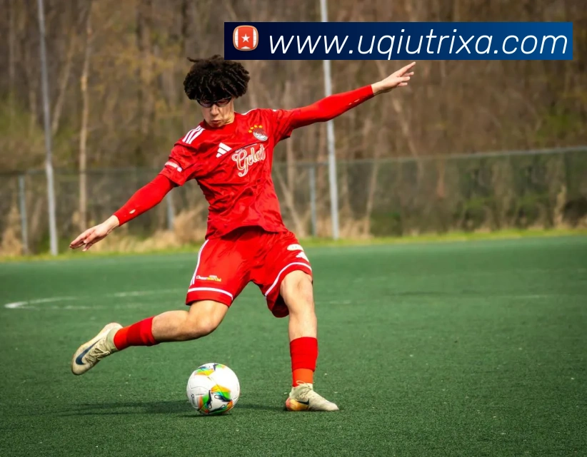 U球体育服务体系